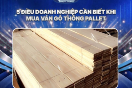 5 điều doanh nghiệp cần biết khi mua ván gỗ thông pallet