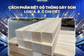 Cách phân biệt gỗ thông dày 5cm loại A, B, C chi tiết