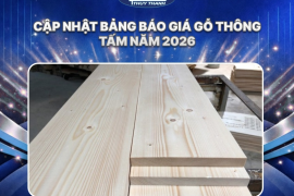 CÔNG TY TNHH MTV PALLET GỖ THỦY THÀNH