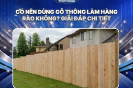 Có nên dùng gỗ thông làm hàng rào không? Giải đáp chi tiết
