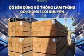 Có nên dùng gỗ thông làm thùng gỗ không? Lời khuyên