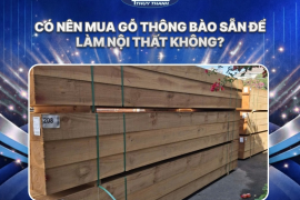 Có nên mua gỗ thông bào sẵn để làm nội thất không?