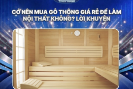 Có nên mua gỗ thông giá rẻ để làm nội thất không? Lời khuyên