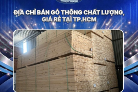 Địa chỉ bán gỗ thông chất lượng, giá rẻ tại TP.HCM