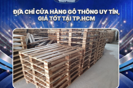 Địa chỉ cửa hàng gỗ thông uy tín, giá tốt tại TP.HCM