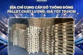 Địa chỉ cung cấp gỗ thông đóng pallet chất lượng, giá tốt TP.HCM