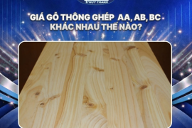 CÔNG TY TNHH MTV PALLET GỖ THỦY THÀNH