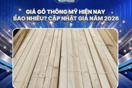 Giá gỗ thông Mỹ hiện nay bao nhiêu? Cập nhật giá năm 2026 