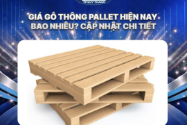 Giá gỗ thông pallet hiện nay bao nhiêu? Cập nhật chi tiết