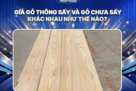 Giá gỗ thông sấy và gỗ chưa sấy khác nhau như thế nào? 