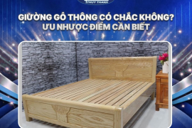 Giường gỗ thông có chắc không? Ưu nhược điểm cần biết