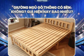 Giường ngủ gỗ thông có bền không? Giá hiện nay bao nhiêu?