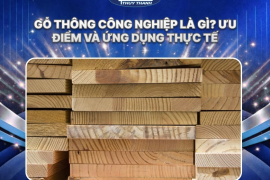 CÔNG TY TNHH MTV PALLET GỖ THỦY THÀNH