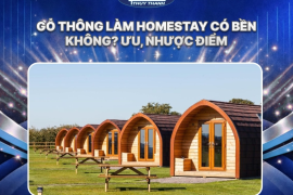 Gỗ thông làm homestay có bền không