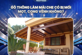 Gỗ thông làm mái che có bị mối mọt, cong vênh không?