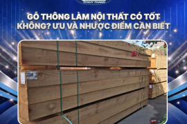 Gỗ thông làm nội thất có tốt không? Ưu và nhược điểm cần biết