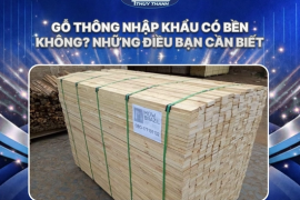 Gỗ thông nhập khẩu có bền không? Những điều bạn cần biết