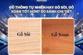 Gỗ thông tự nhiên hay gỗ sồi, gỗ xoan tốt hơn? So sánh chi tiết