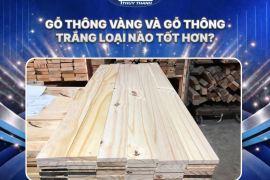 Gỗ thông vàng và gỗ thông trắng loại nào tốt hơn?
