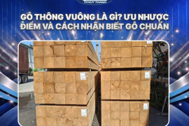 Gỗ thông vuông là gì? Ưu nhược điểm và cách nhận biết gỗ chuẩn