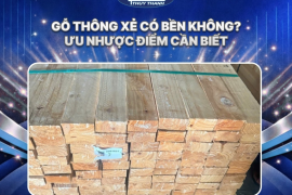 Gỗ thông xẻ có bền không? Ưu nhược điểm cần biết