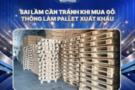 Sai lầm cần tránh khi mua gỗ thông làm pallet xuất khẩu