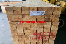 Gỗ thông có cần xử lý kỹ thuật trước khi sử dụng không?