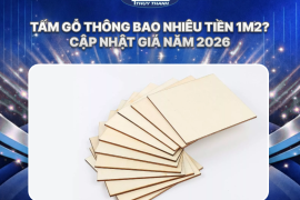 Tấm gỗ thông bao nhiêu tiền 1m2? Cập nhật giá năm 2026