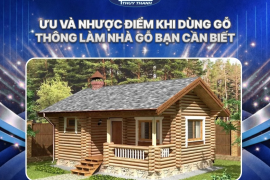 Ưu và nhược điểm khi dùng gỗ thông làm nhà gỗ bạn cần biết
