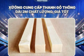 Xưởng cung cấp thanh gỗ thông dài 2m chất lượng, giá tốt