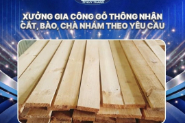 Xưởng gia công gỗ thông nhận cắt, bào, chà nhám theo yêu cầu