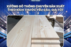 Xưởng gỗ thông chuyên sản xuất theo kích thước yêu cầu, giá tốt