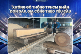 Xưởng gỗ thông TPHCM nhận đơn gấp, gia công theo yêu cầu
