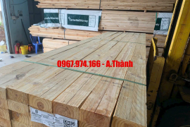 Gỗ thông nhập khẩu có tốt hơn gỗ trong nước không?