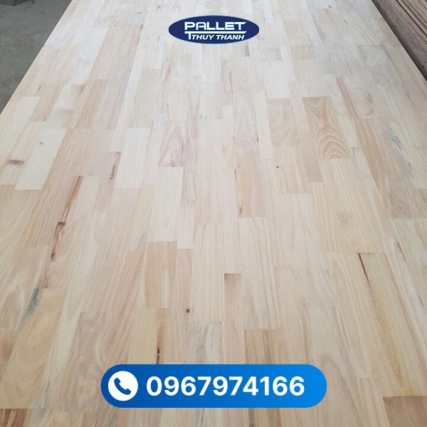 Vẻ đẹp tự nhiên của gỗ thông ghép tấm