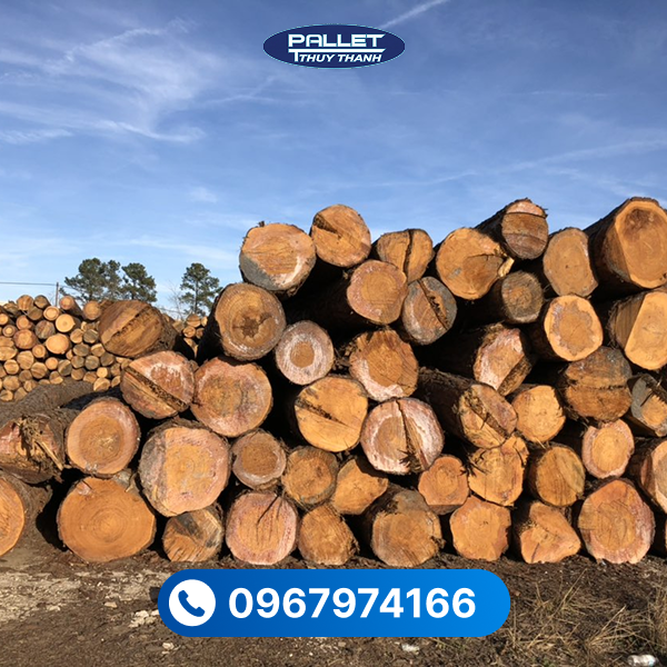 Chất liệu này có trọng lượng nhẹ, dễ gia công, phù hợp với nhiều sản phẩm nội thất khác nhau