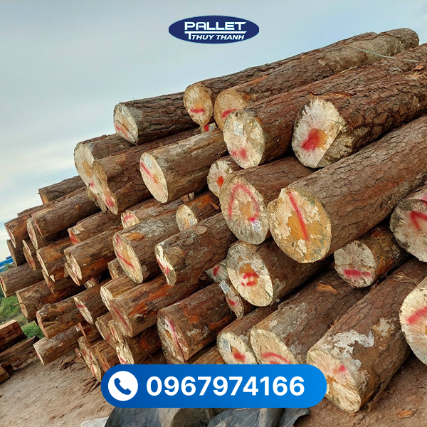 Bề mặt gỗ mịn, dễ sơn phủ, giúp nâng cao tính thẩm mỹ cho không gian