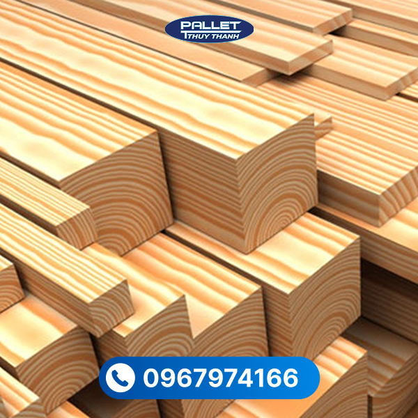 Gỗ thông có nhiều loại như thông trắng, thông vàng, mỗi loại có màu sắc và độ cứng khác nhau