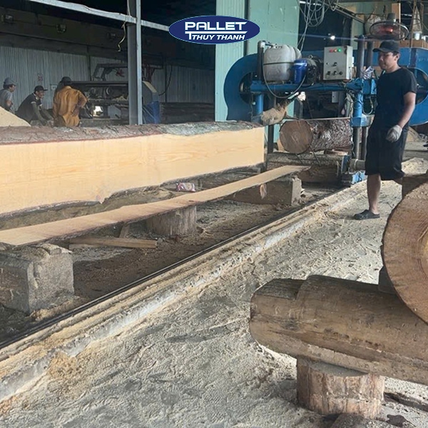 gỗ thông sấy khô làm pallet