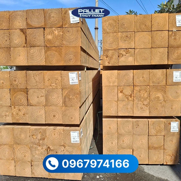 Bỏ túi ngay cách chọn gỗ thông làm pallet chất lượng qua bài dưới đây
