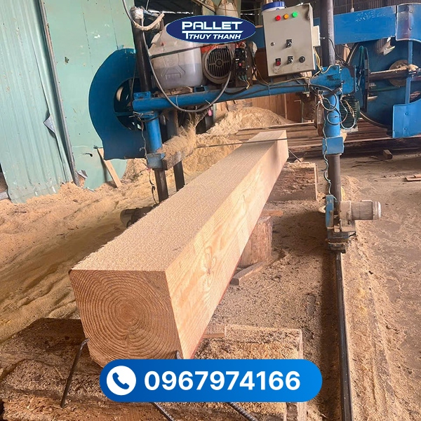 Thủy Thành - Xưởng cung cấp gỗ thông bào sẵn chất lượng
