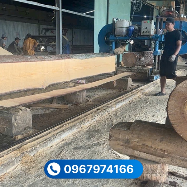 Một số điều doanh nghiệp cần lưu ý khi chọn đại lý gỗ thông