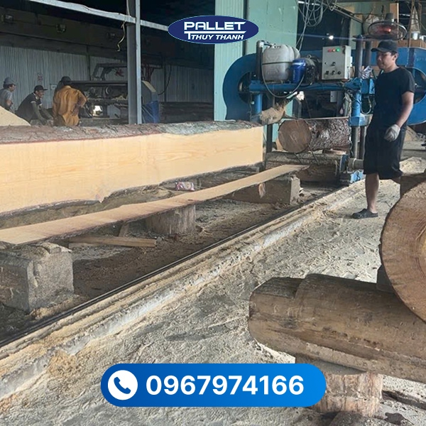 gỗ thông sấy khô làm pallet
