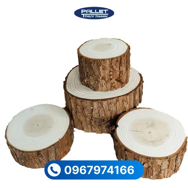 Mức giá gỗ thông xẻ sấy hiện nay dao động tùy vào nguồn gốc và chất lượng của gỗ thông