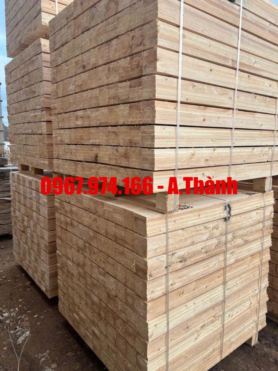 pallet tân bình